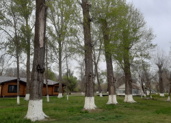 Прогноз погоды, именины, праздники в Астрахани в пятницу 12 мая