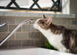 Жители Трусовского района Астрахани останутся без холодной воды на 17 часов