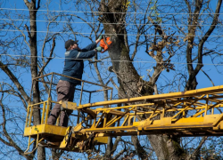 Астраханское управление по коммунальному хозяйству обязали опилить деревья у подведомственных ПКФ «Надежда» домов