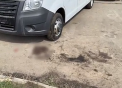 Судмедэксперты изучили тело астраханки с укусами собак и установили причину ее смерти