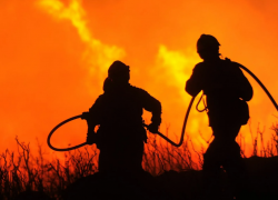 3 июня в Астрахани и на юге области прогнозируют чрезвычайную пожароопасность