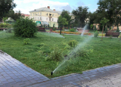 В Астрахани полив растений в парках проходит по сезонному графику