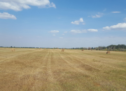 Погода, праздники, именины в понедельник 11 сентября