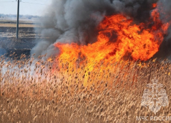 За неделю астраханские пожарные 67 раз выезжали тушить камыши