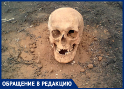 Строители находят человеческие останки в астраханском парке