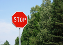 1 июня выпуск осетров перегородит астраханским водителям дорогу 