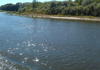В Астраханской области утонул мужчина, его всеми силами пытались спасти