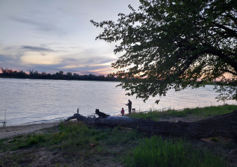 С сегодняшнего дня в Астраханской области запретили ловить еще одного речного обитателя