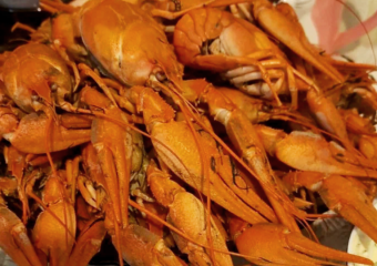 С 1 апреля в Астраханской области запретят ловить раков