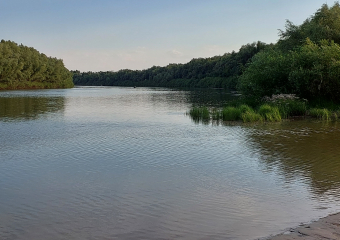 В Астраханской области цветет один из самых больших в мире цветков: вокруг него много мифов