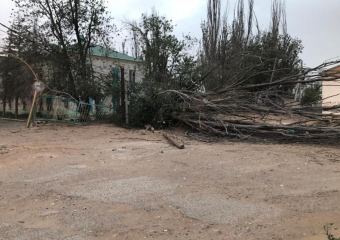 Маленькая астраханка, пострадавшая от пыльной бури, получила инвалидность