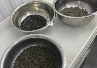 Астраханская область стала больше экспортировать один из самых дорогих деликатесов