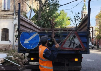 В Астрахани ликвидировали 376 свалок: 118 из них скопились на мусорных площадках