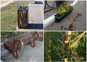 В Астрахани подростки-вандалы сломали новые урны, скамейки и повредили деревья