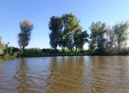 В Астраханскую область по особой просьбе стали пускать больше воды