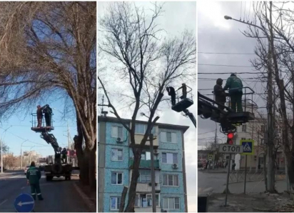 На улицах Астрахани опилили более трехсот опасных деревьев с начала 2026 года