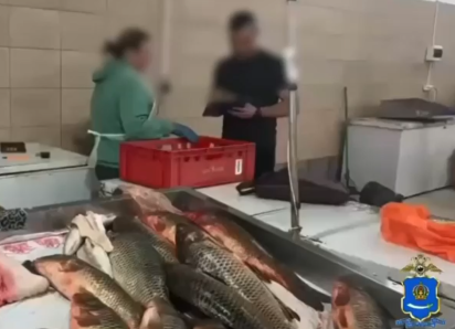 В Астрахани прошли рейды по пресечению незаконной торговли и занятости