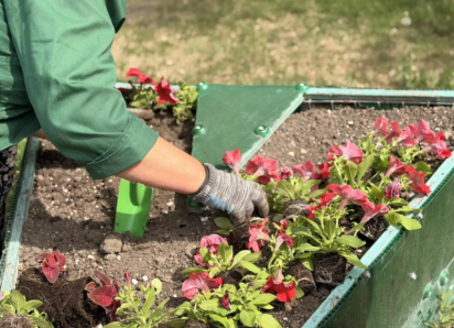 Около 60 тысяч цветов высадят в Астрахани к майским праздникам