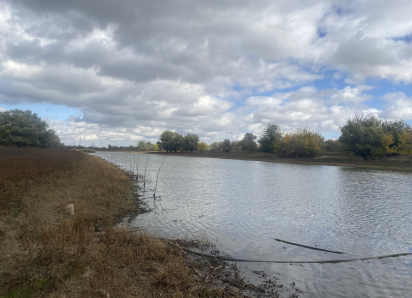 В Астраханской области начался нерест рыбы