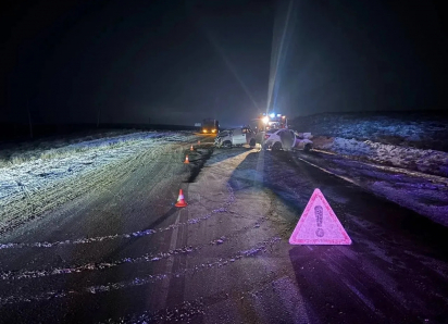 В Астраханской области иномарка выехала на встречку, погибли младенцы, несколько человек пострадали