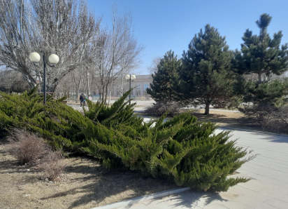 В Астрахани будет тепло и солнечно