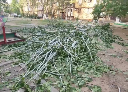 В деле маленькой девочки, погибшей в Астрахани от дерева, новый поворот