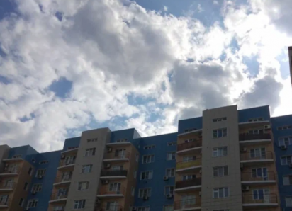 В Астрахани обнаружили животное, зараженное бешенством