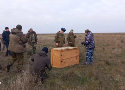 В Астраханской области выпустили очень редкое животное с необычным ожерельем