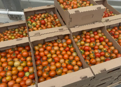 Крупная астраханская агрокомпания открыла вакансии с зарплатами до 180 тысяч