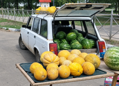 Астраханку оштрафовали за продажу бахчевых в неположенных местах