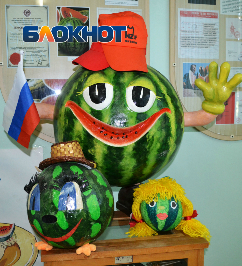 В Астрахани начались продажи местных арбузов