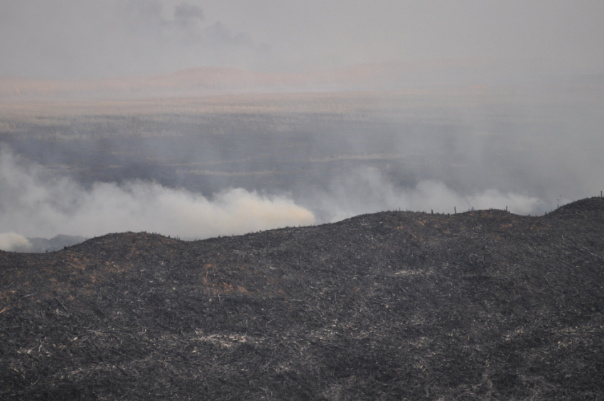 Пожары в Казахстане ударили по астраханскому воздуху