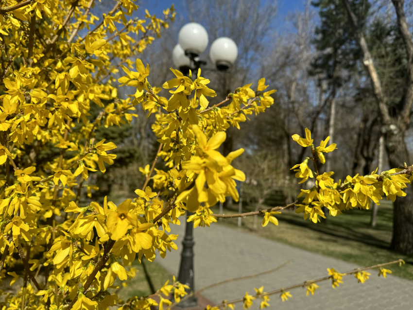 Погода, праздники, именины в четверг 11 апреля