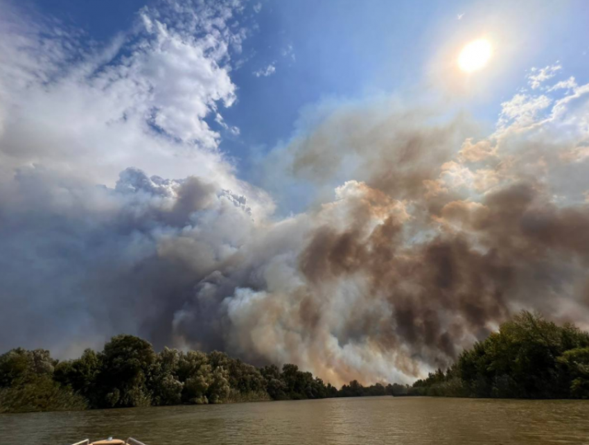 Пожар в астраханском заповеднике уничтожил 3040 гектаров площади