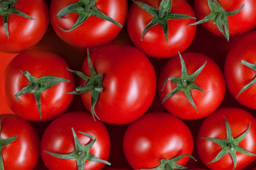 За два месяца в Астраханскую область завезли более 240 тонн томатов из южных стран