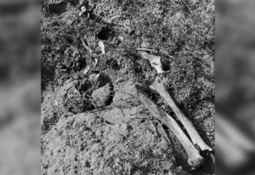 Экс-директора астраханского «Автодора» осудили за порчу памятника архитектуры