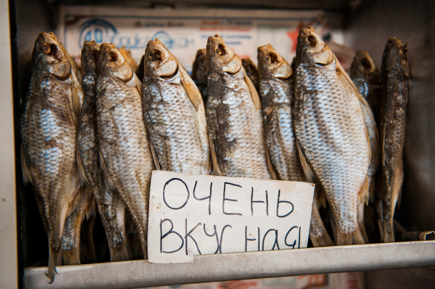 Чем болеет астраханская рыба