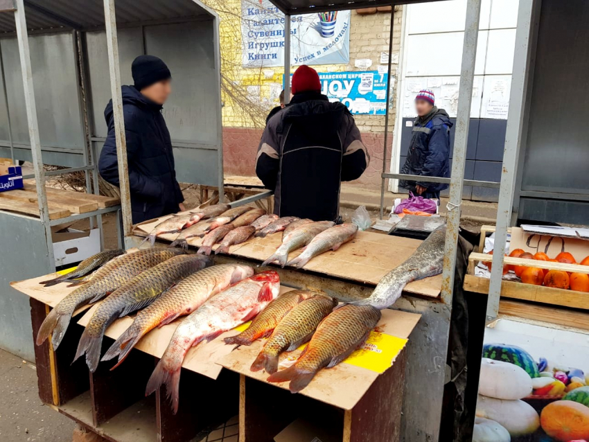 В Астрахани у уличных торговцев изъяли полтонны незаконной рыбы