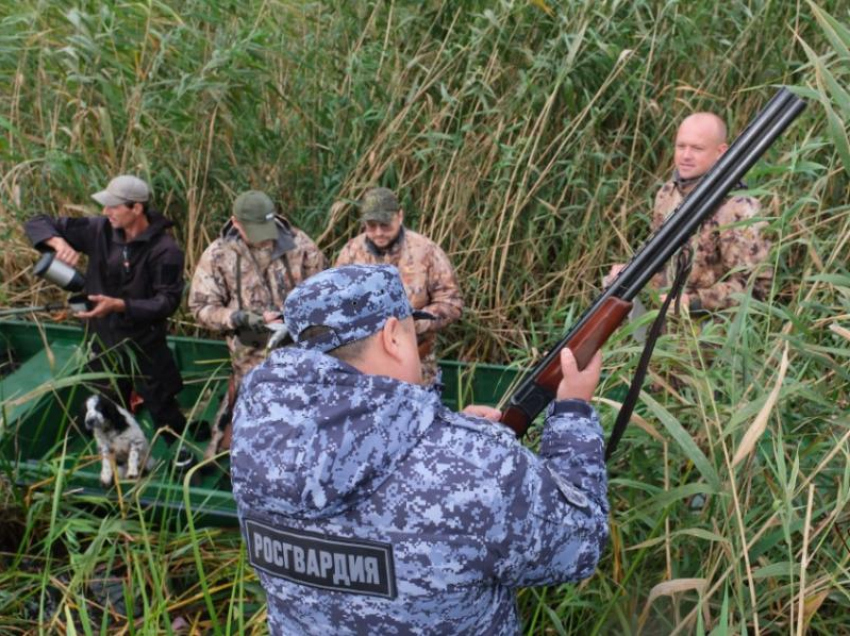 Астраханцы нарушили правила охоты сорок раз