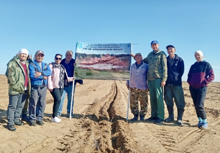 Специалисты лесхоза высадили в Астраханской области тысячи сеянцев джузгуна