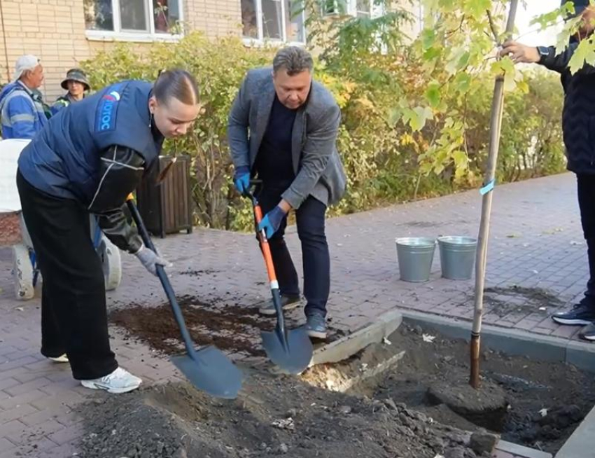 Глава Астрахани вместе с чиновниками занялся озеленением Володарской улицы