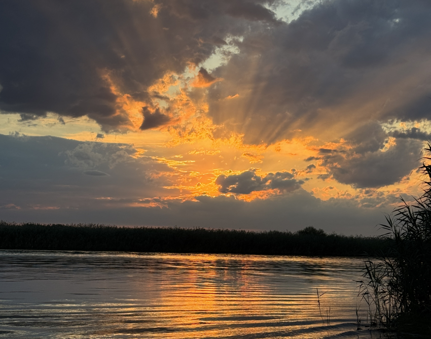 В Астраханскую область вернутся заморозки