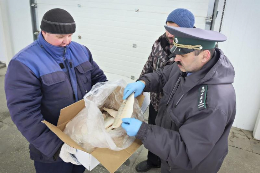 Недружественные страны получили 30% экспортируемой астраханской рыбы