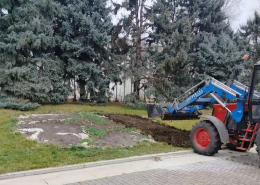 Цветы из парков и скверов Астрахани забирают на зимовку