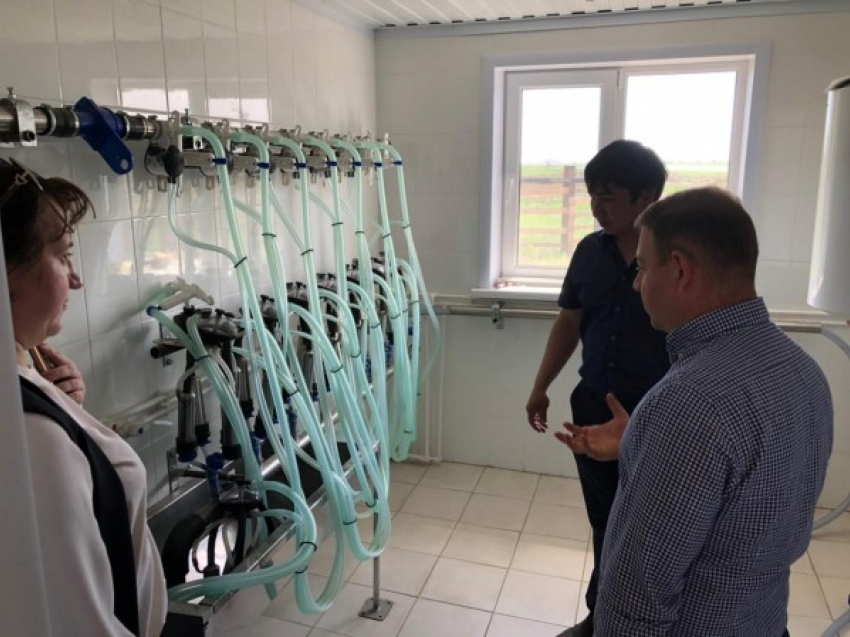 В Астраханской области одной молочной фермой больше