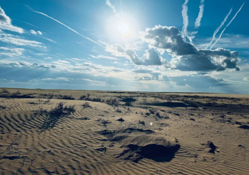 В Астраханской области 11 земельных участков подверглись опустыниванию