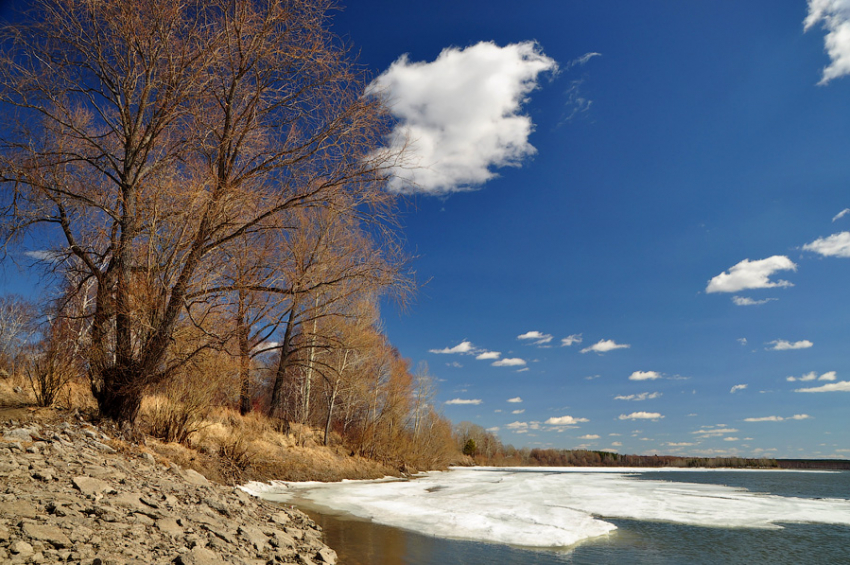 В субботу в Астрахани будет облачно и ветрено: прогноз на 10 декабря