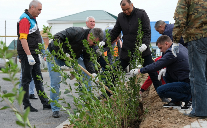 Астраханцы посадили 160 тысяч деревьев и кустарников в рамках акции «Сад памяти"