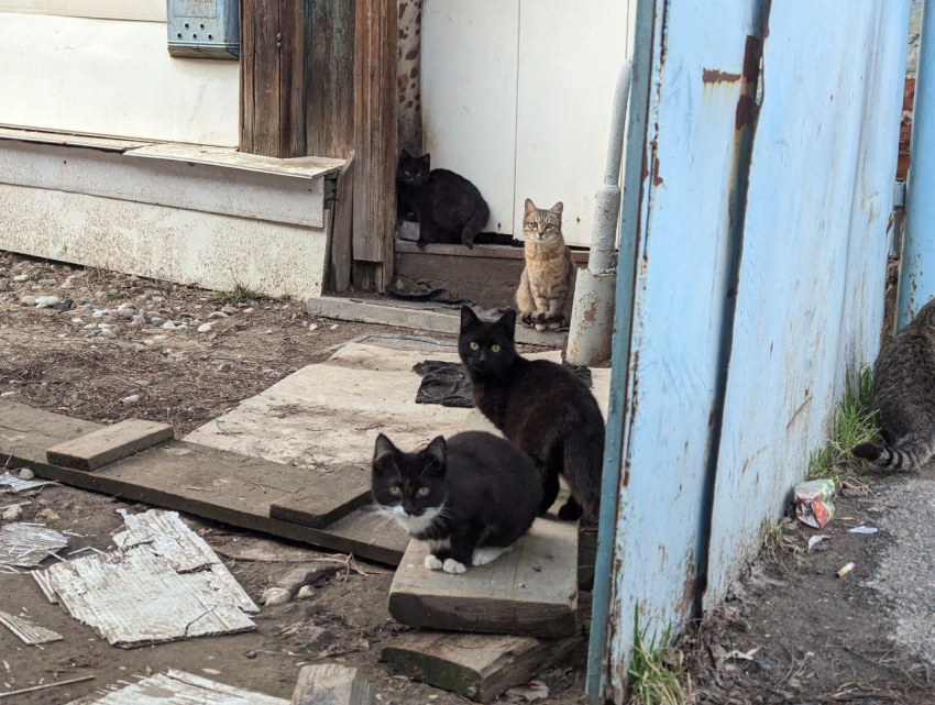 Погода, праздники, именины в среду 14 февраля 