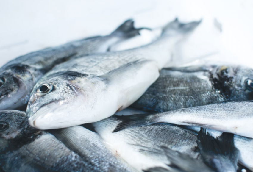 Астраханские предприниматели не смогли раскрыть происхождения 29 тонн рыбы